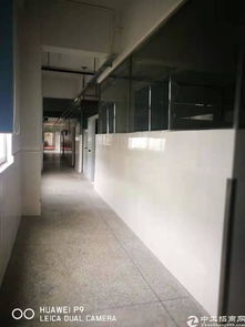 龙岗中心城成熟食品厂两层3200平带设备可装修